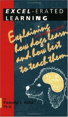 Portada de Excel-Erated Learning