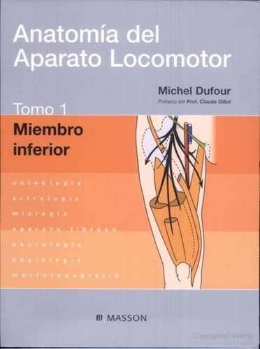 Portada de Anatomi a del aparato locomotor