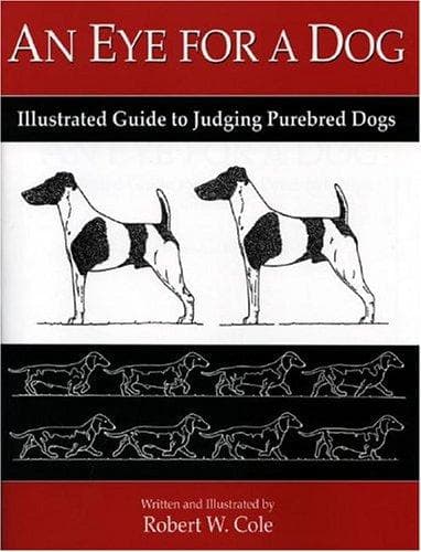 Portada de An Eye for a Dog