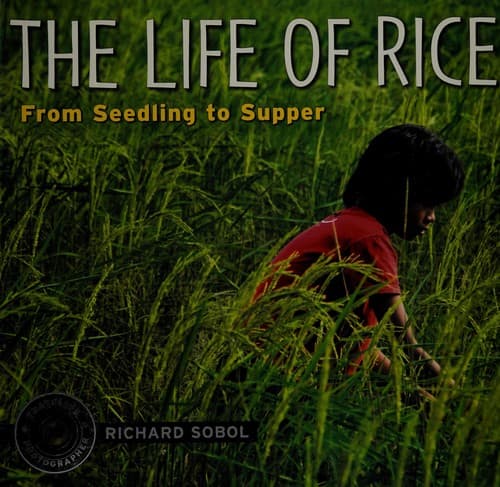Portada de The life of rice