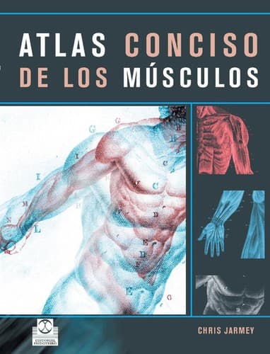 Portada de Atlas conciso de los mu sculos